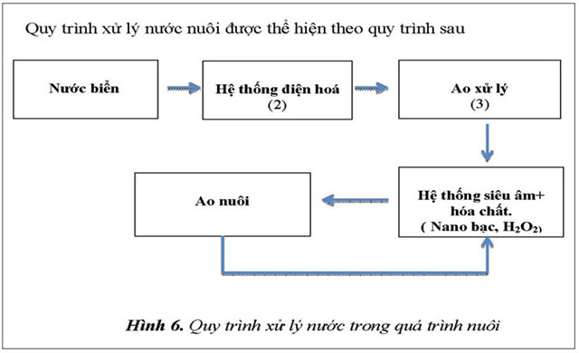 cong-nghe-sieu-am-ket-hop-nano-02_0.jpg