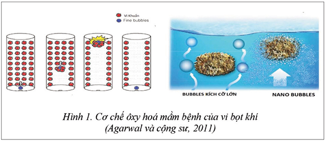 cong_nghe_sieu_am_ket_hop_nano_01_0.jpg